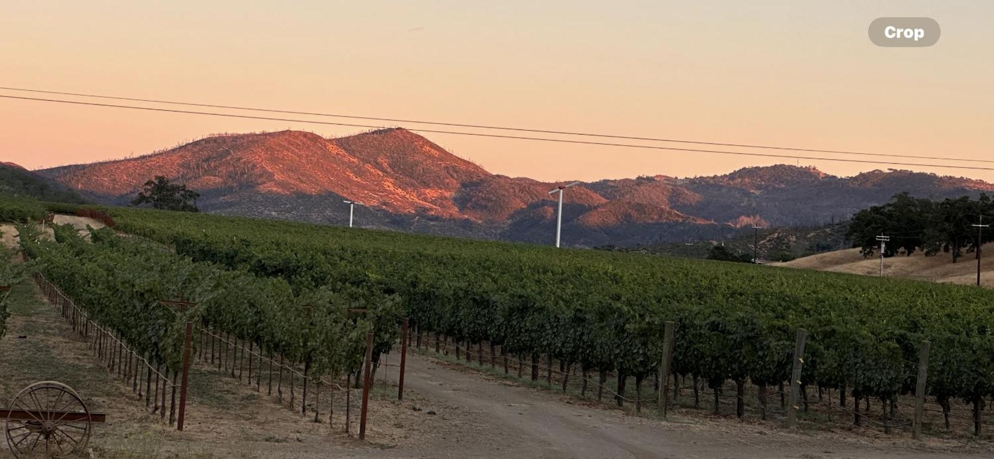 Rustridge Ranch & Winery Bed & Breakfast St. Helena Dış mekan fotoğraf