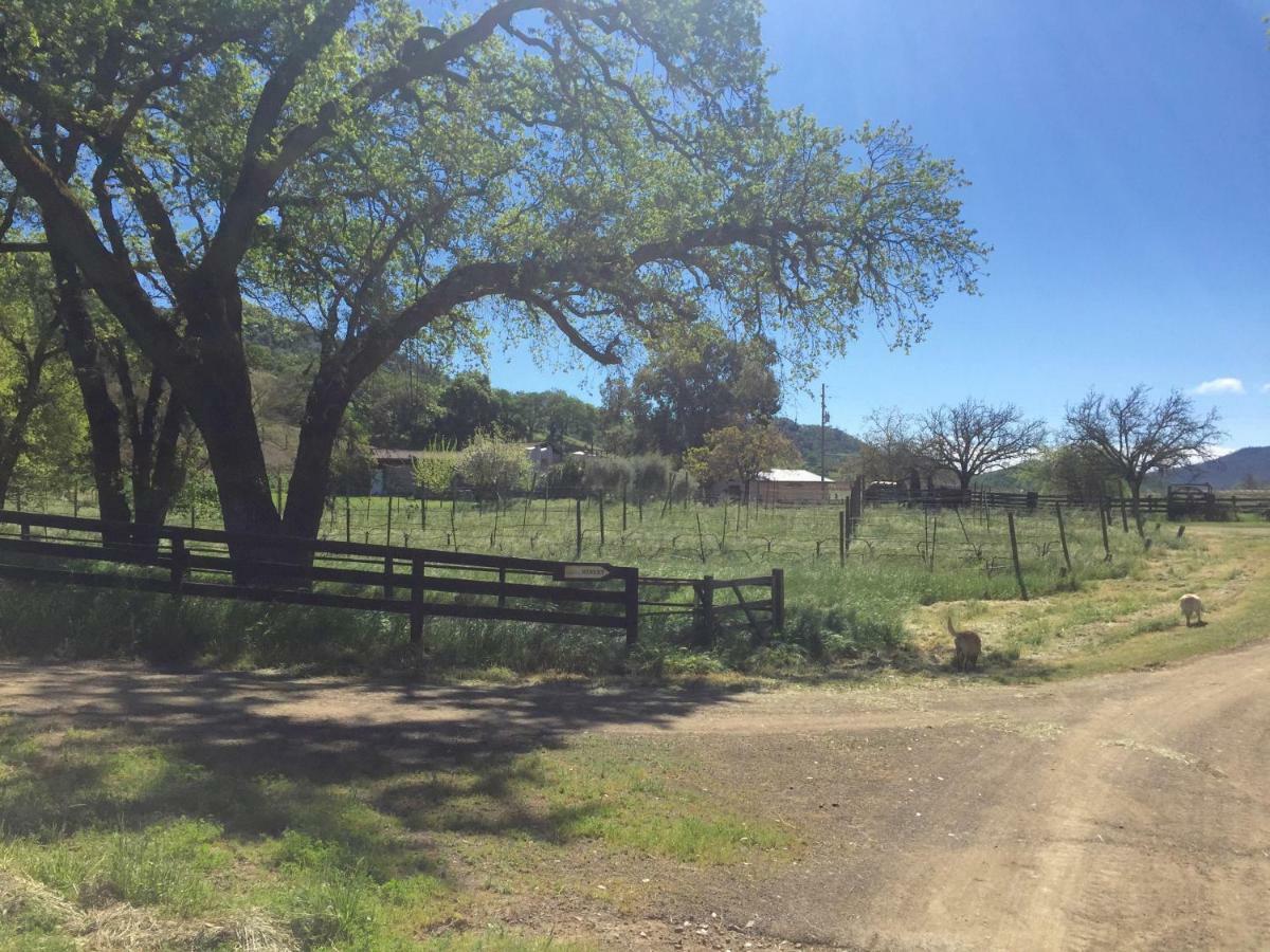 Rustridge Ranch & Winery Bed & Breakfast St. Helena Dış mekan fotoğraf